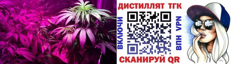 сайты даркнета как зайти  Калининград  ТГК THC oil 